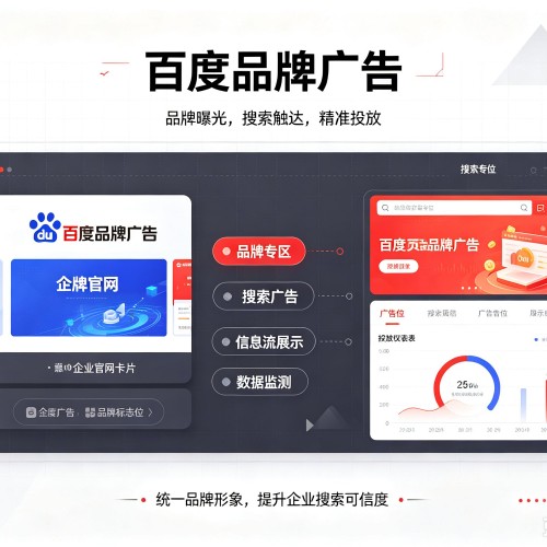 曲麻莱百度品牌广告
